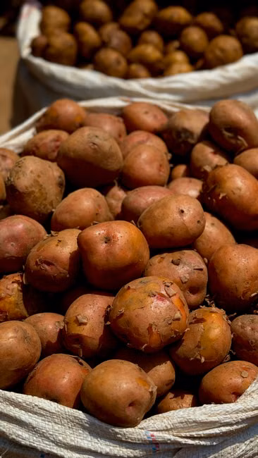 Batata Doce (kg)